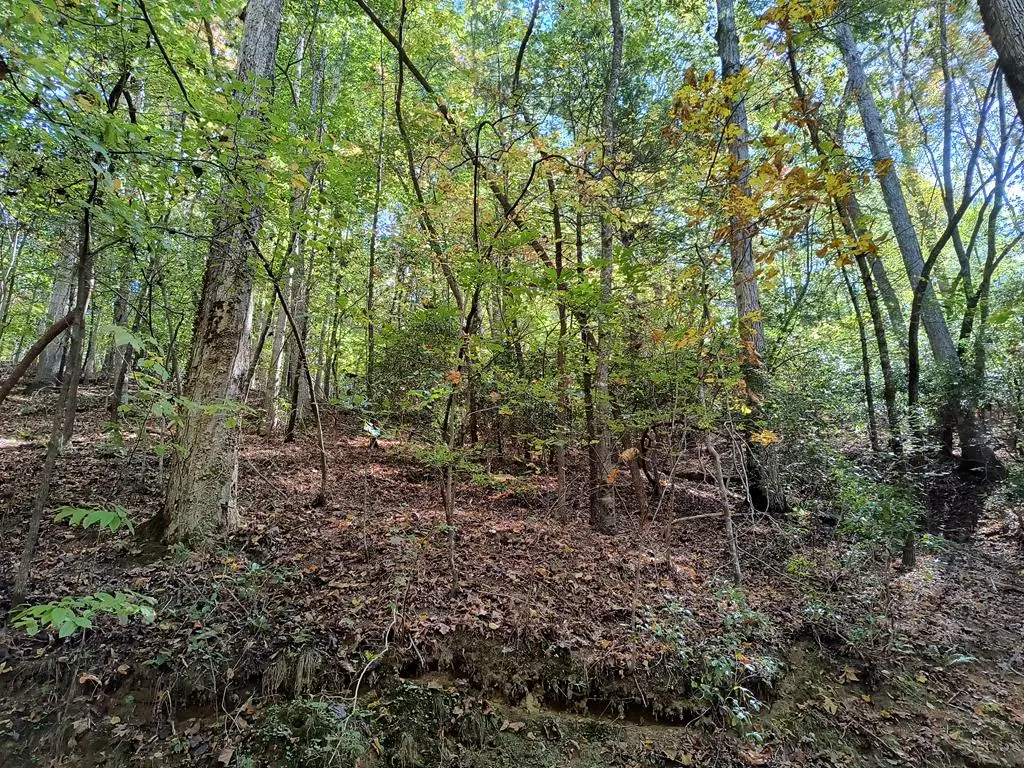 Lot 334 Cold Stream Court, Ellijay, GA 30540 - #1