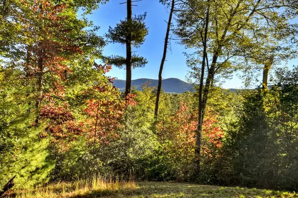 12.64 AC Harrison Sluder Road, Ellijay, GA 30540