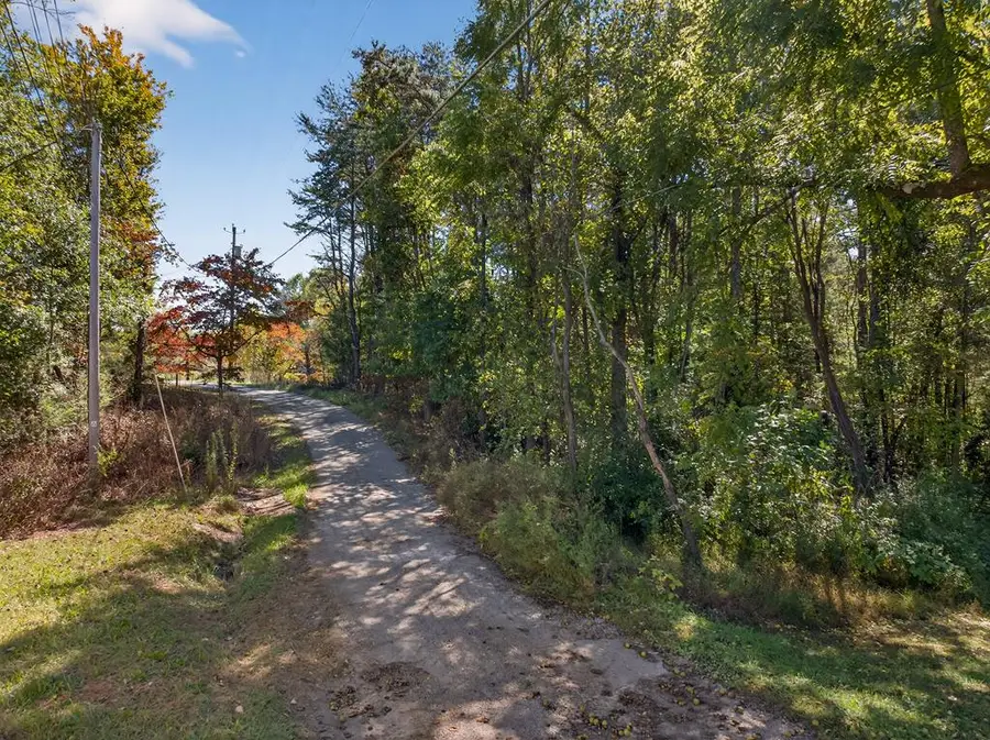 0 Porter Road, Blue Ridge, GA 30513 - Image #3