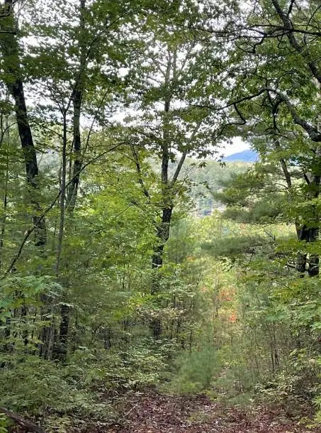 Lot 7 Sequoia Hills Ln, Clayton, GA 30525 - Image #3