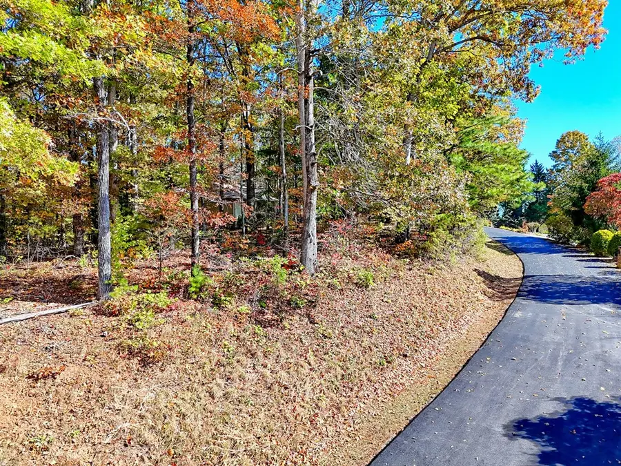 #20 Victoria Woods Circle, Hiawassee, GA 30546 - Image #2