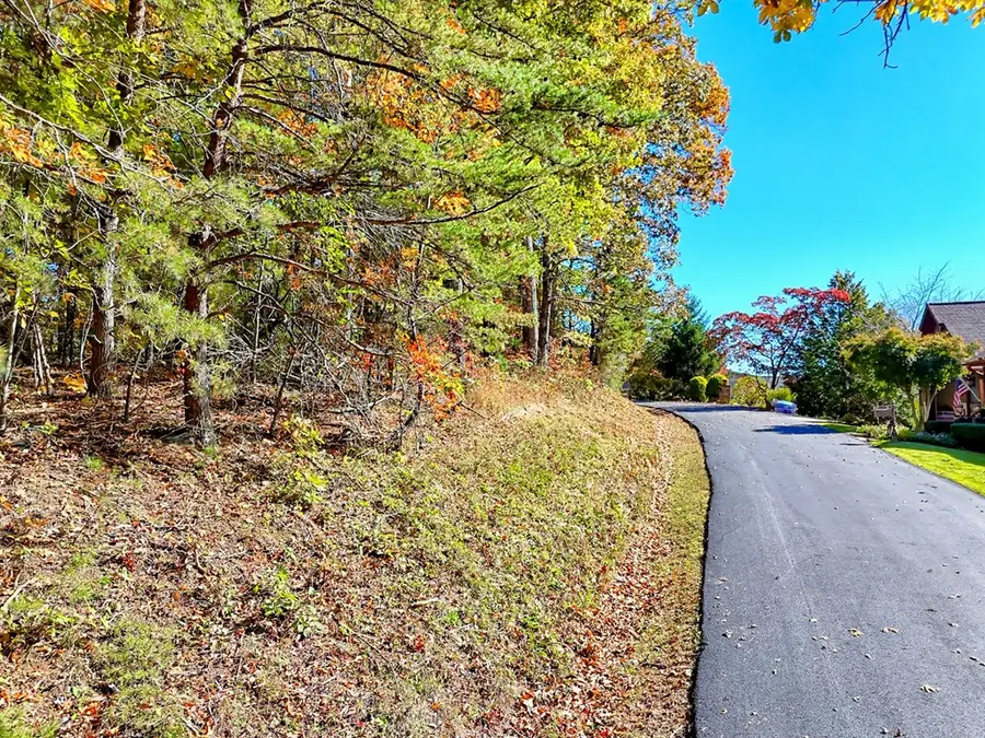 #20 Victoria Woods Circle, Hiawassee, GA 30546 - Image #3