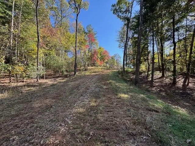 0 Pinelog Road, Young Harris, GA 30582 - Image #1