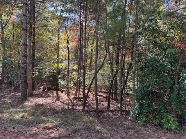 0 Pinelog Road, Young Harris, GA 30582 - Image #2