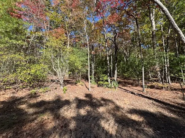 0 Pinelog Road, Young Harris, GA 30582 - Image #3