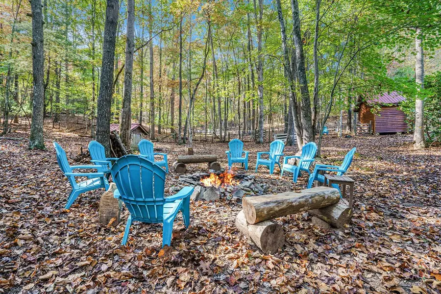 98 Bear Lane, Blue Ridge, GA 30513 - Image #2