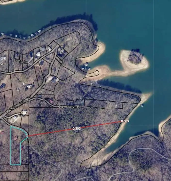 98 Bear Lane, Blue Ridge, GA 30513 - Image #3