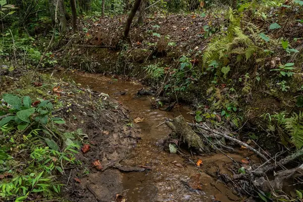 117 Poplar Drive, Dawsonville, GA 30534