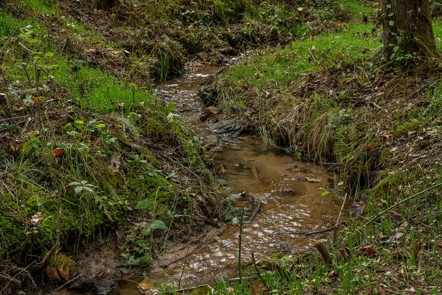 117 Poplar Drive, Dawsonville, GA 30534 - Image #2