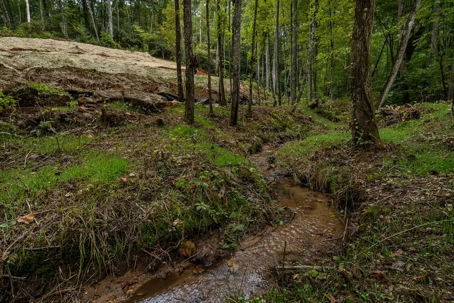 117 Poplar Drive, Dawsonville, GA 30534 - Image #3