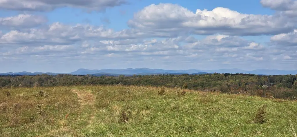 1350 Stivers Road, Jasper, GA 30143 - Image #1