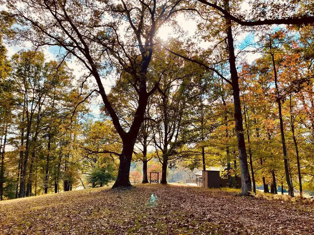 1030 Macedonia Church Road, Blue Ridge, GA 30513 - Image #1