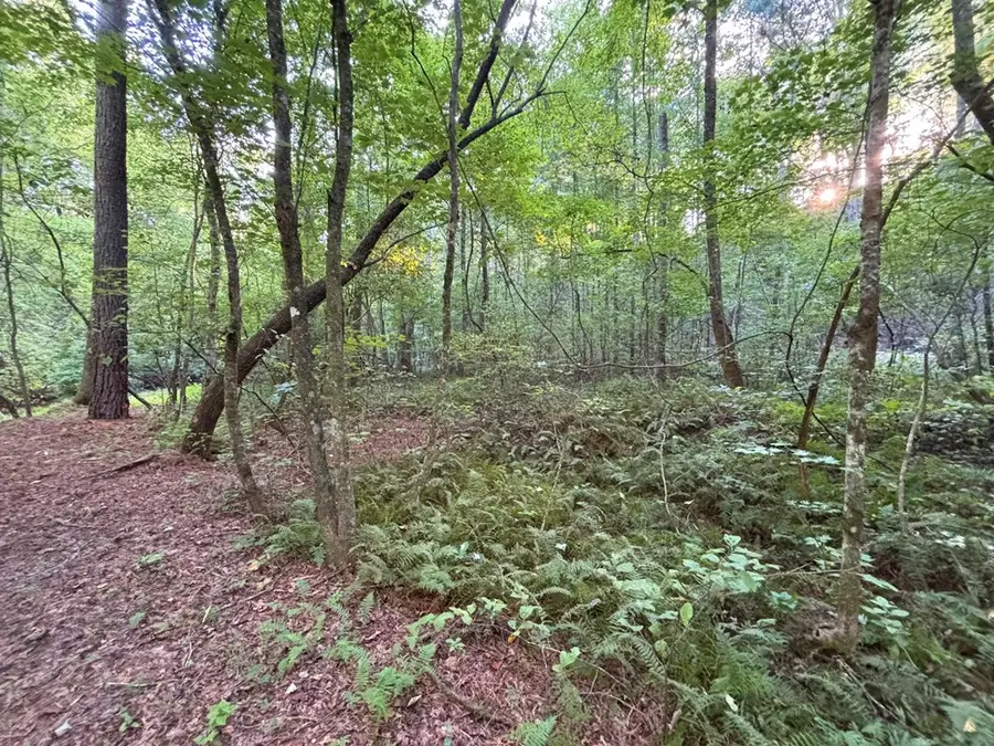 Lot 6 Mt. Springer Road, Ellijay, GA 30540 - Image #2