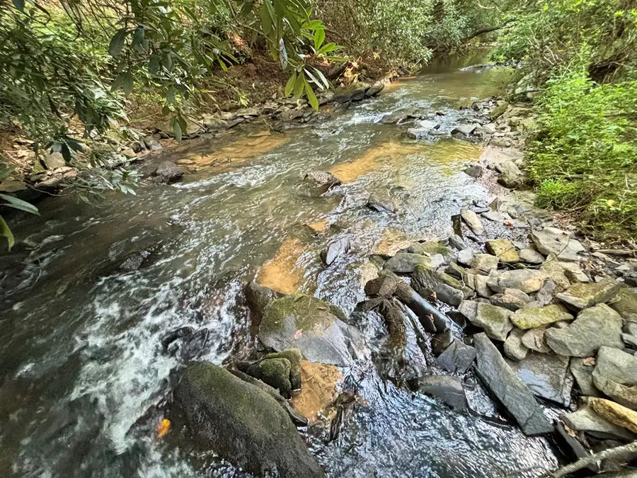 Lot 6 Mt. Springer Road, Ellijay, GA 30540 - Image #3