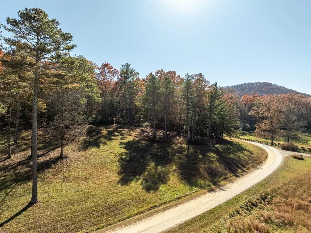 Lot 3 Spring Camp Road, Ellijay, GA 30536 - Image #1