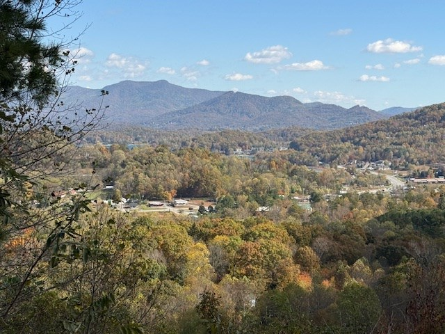 Lot 18 Vista Loop, Young Harris, GA 30582 - Image #2