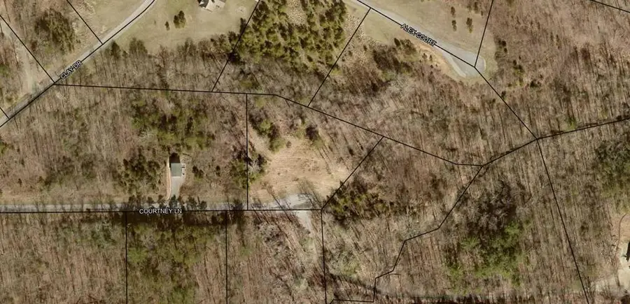 08 Courtney Ln Lot 8, Blairsville, GA 30512 - Image #3