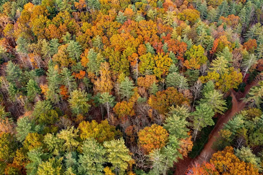 799 Whitecliff Drive, Ellijay, GA 30540 - Image #2