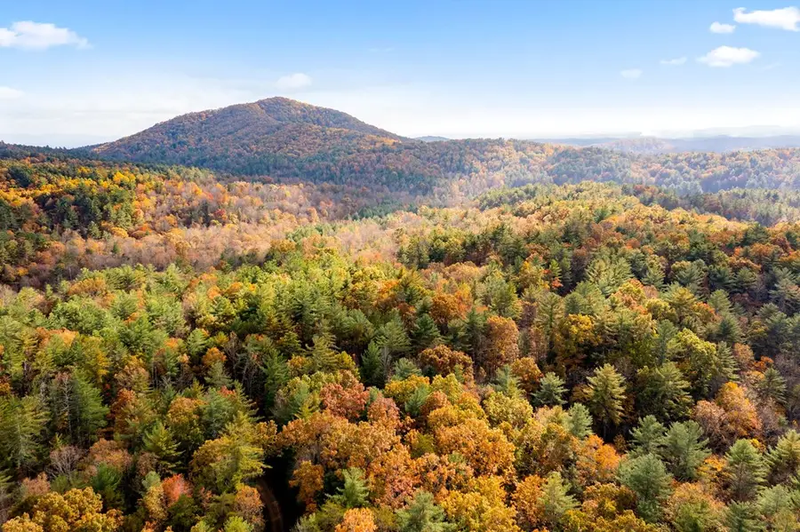 799 Whitecliff Drive, Ellijay, GA 30540 - Image #3