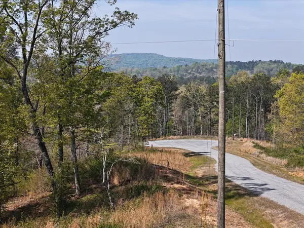 Lot 20 Blalock Mountain Road, Ellijay, GA 30540