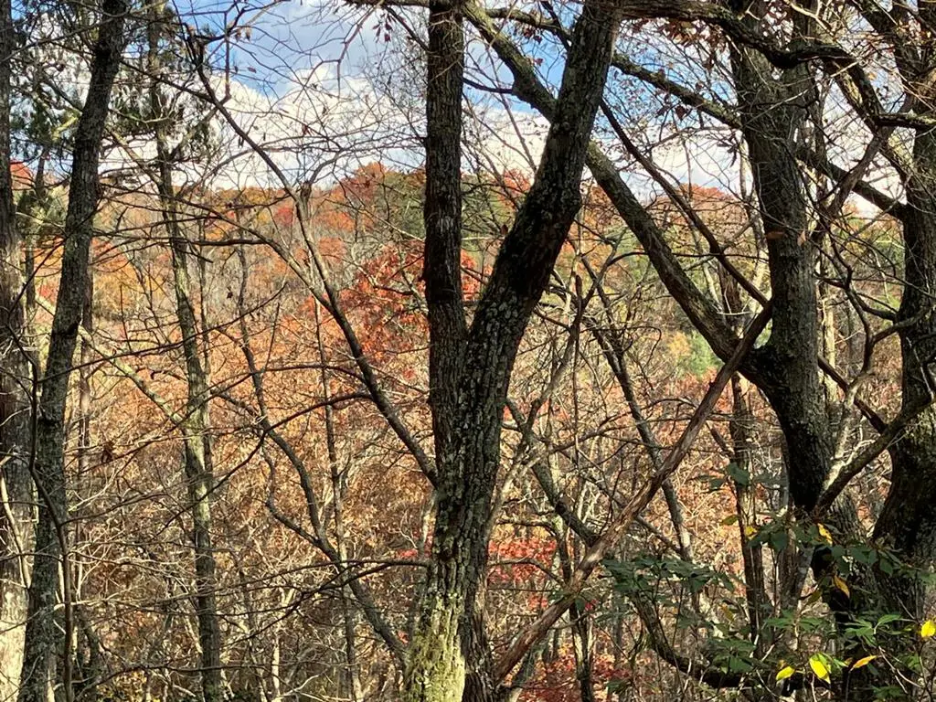 LT24 Mission Ridge Court, Hayesville, NC 28904 - Image #1