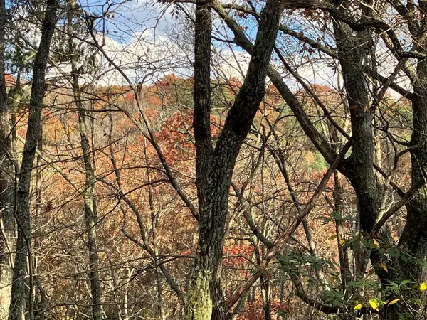 LT24 Mission Ridge Court, Hayesville, NC 28904