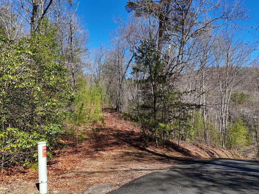 LT24 Mission Ridge Court, Hayesville, NC 28904 - Image #3
