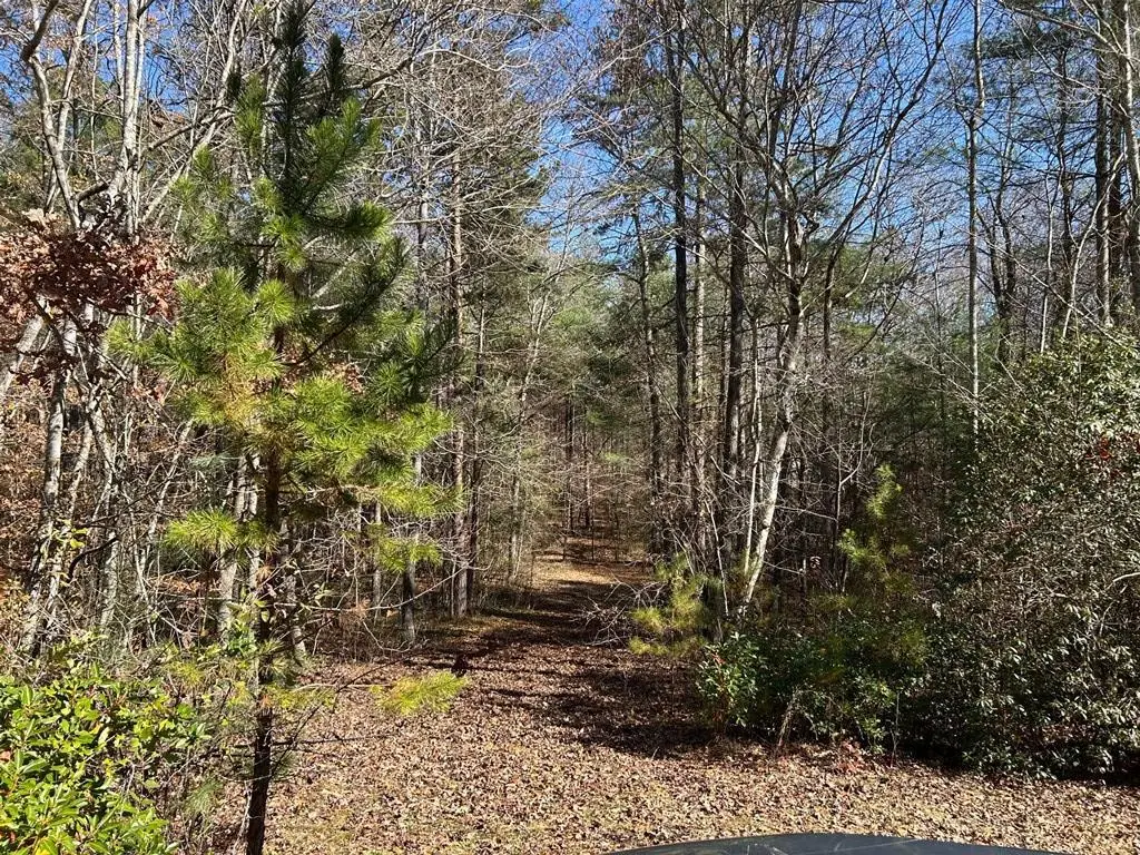 Lot 1&5 Pearl Wright Road, Blairsville, GA 30512 - Image #1