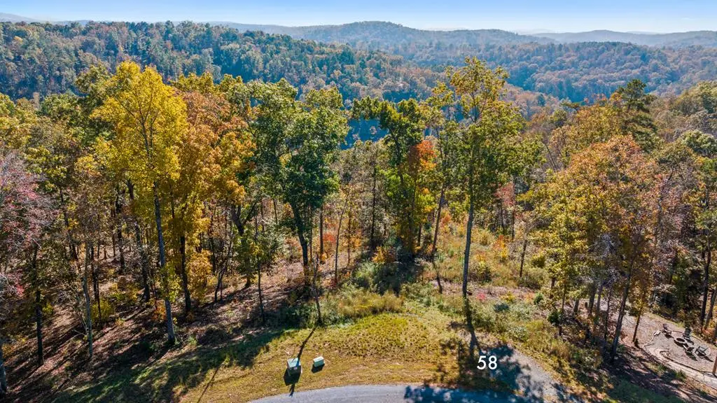 Lot 58 Ridge Line Trail, Ellijay, GA 30540 - #1