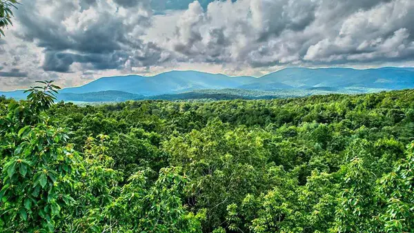 17.67 AC Rainbow Ridge, Ellijay, GA 30540