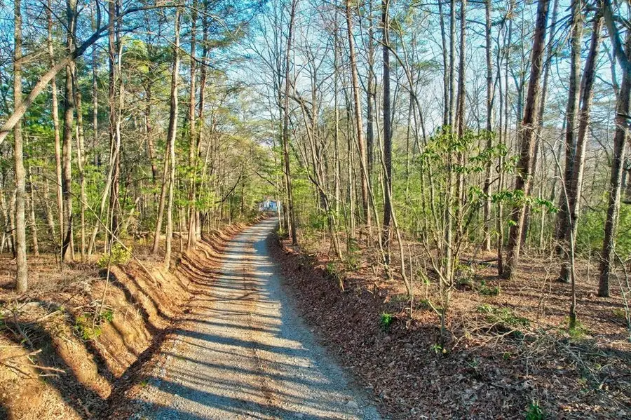 17.67 AC Rainbow Ridge, Ellijay, GA 30540 - Image #3