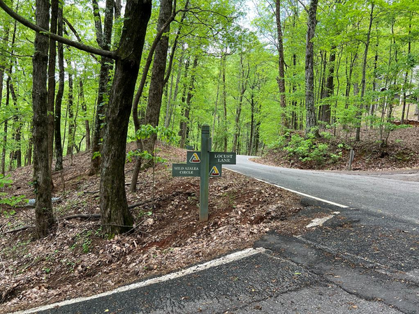 0 Valley View Drive, Big Canoe, GA 30143