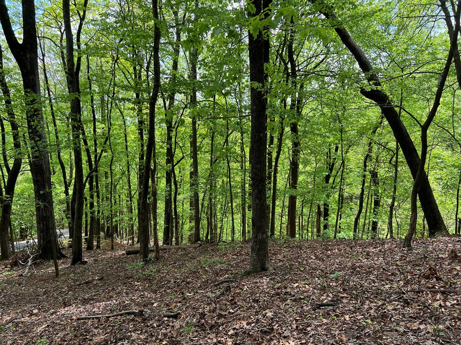 0 Valley View Drive, Big Canoe, GA 30143 - Image #2