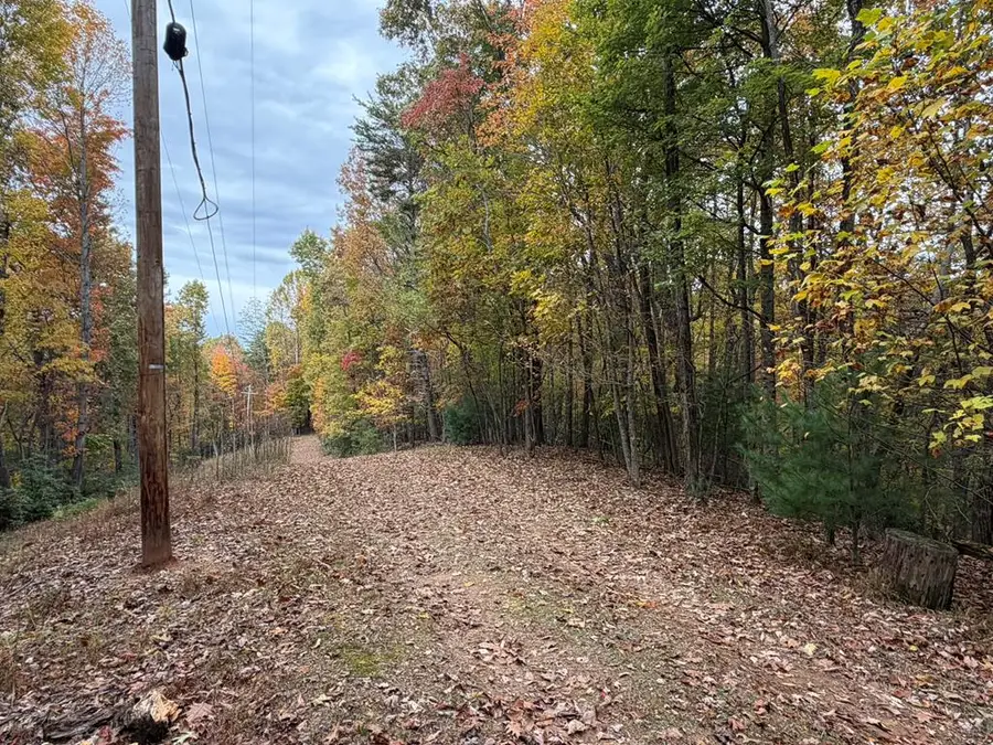 4.29 Ac All Good Road, Blue Ridge, GA 30513 - Image #3