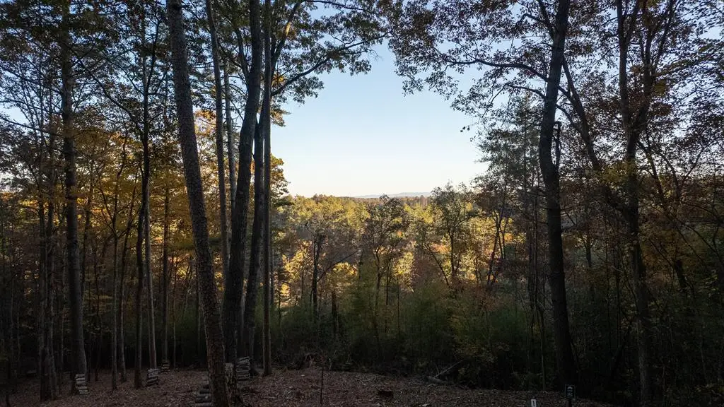 155 Rhondas Way, Ellijay, GA 30540 - Image #1