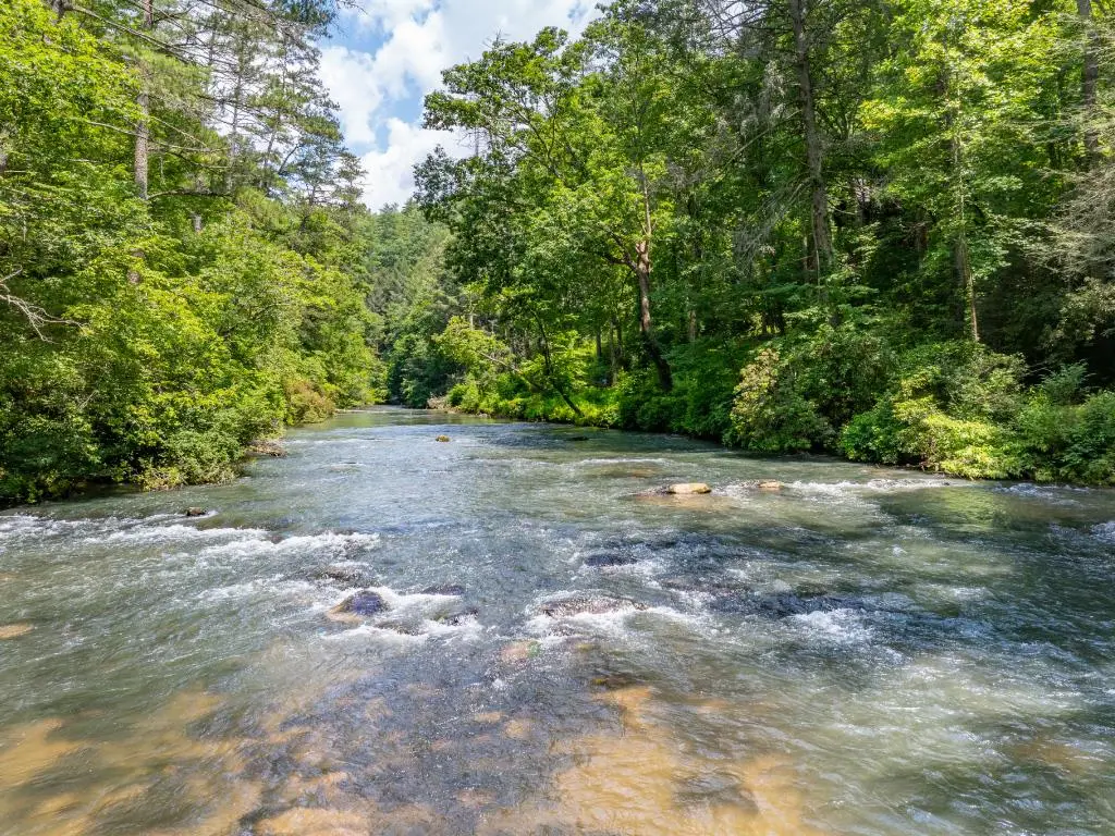 9 Roaring Forks Lane, Ellijay, GA 30540 - Image #1