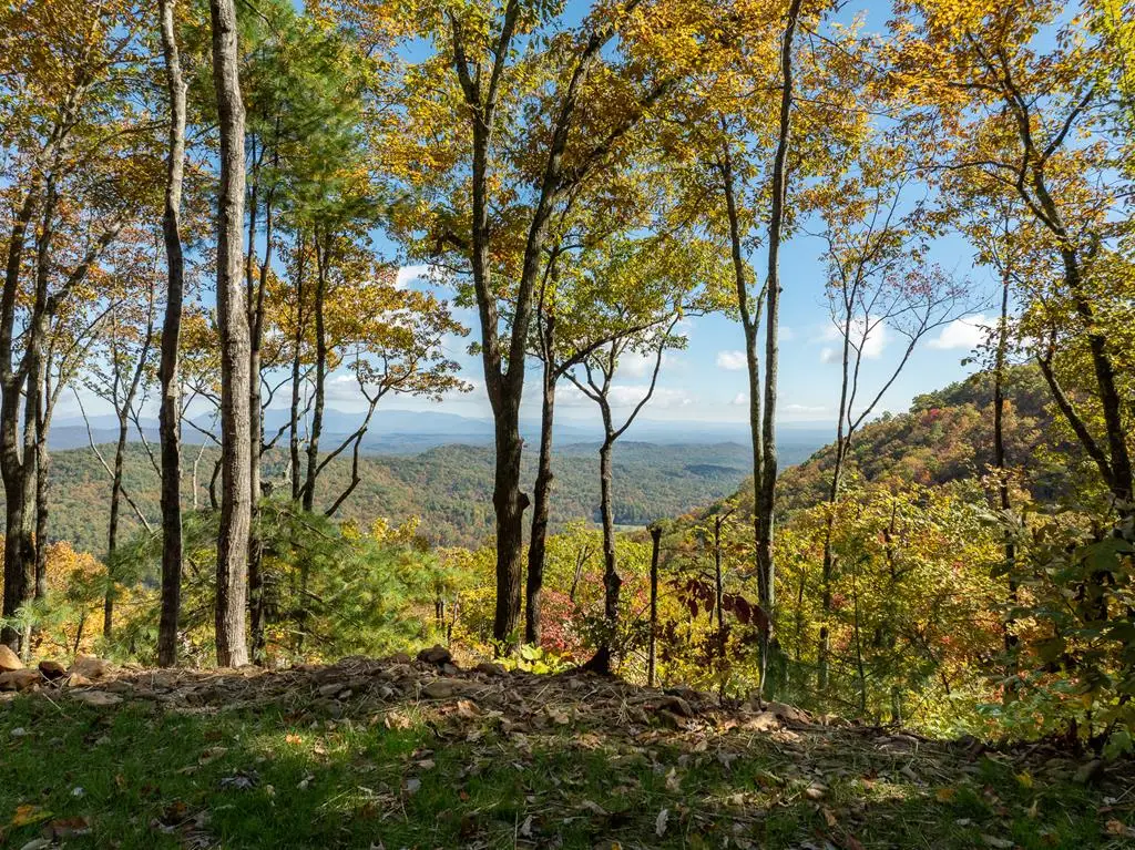 Lot 45 Utana Bluffs Trail, Ellijay, GA 30540 - Image #1