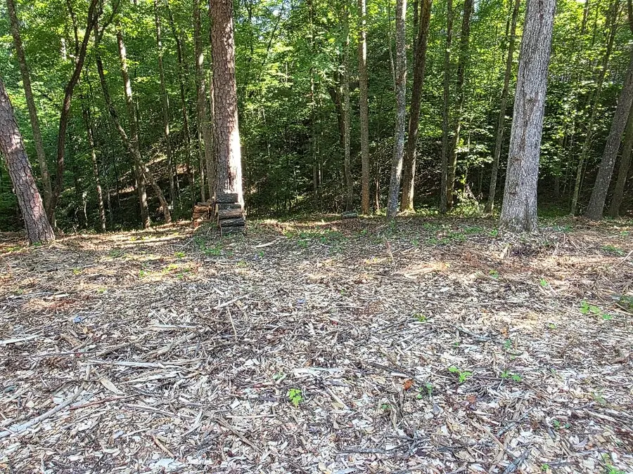 86 Cedar Road, Ellijay, GA 30540 - Image #2