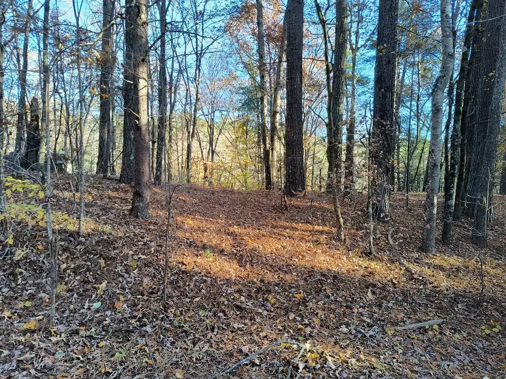 Lot 267 Novel Ct., Ellijay, GA 30540 - Image #1