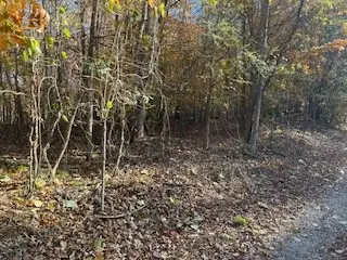 0 Julius Bridge Road, Ball Ground, GA 30107 - Image #2