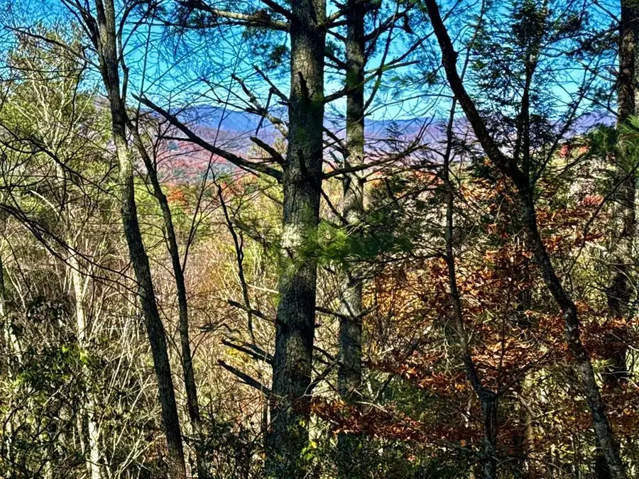 0 Mcguire Street, Murphy, NC 28906 - Image #2