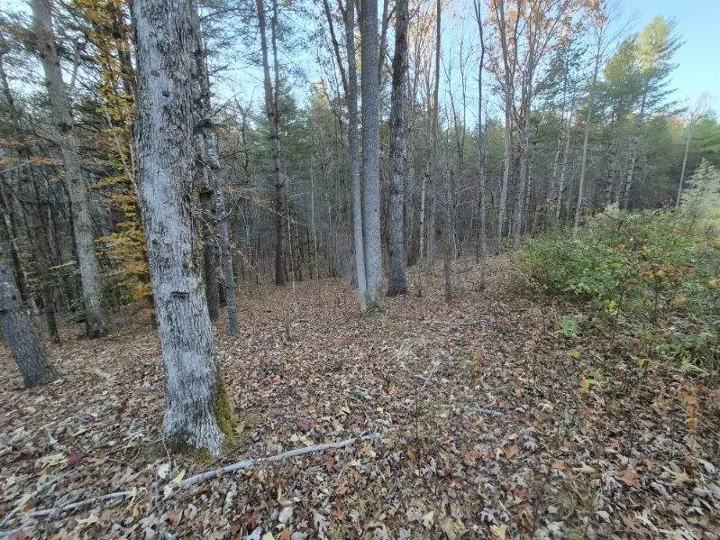 00 Sol Lane, Murphy, NC 28906 - Image #3