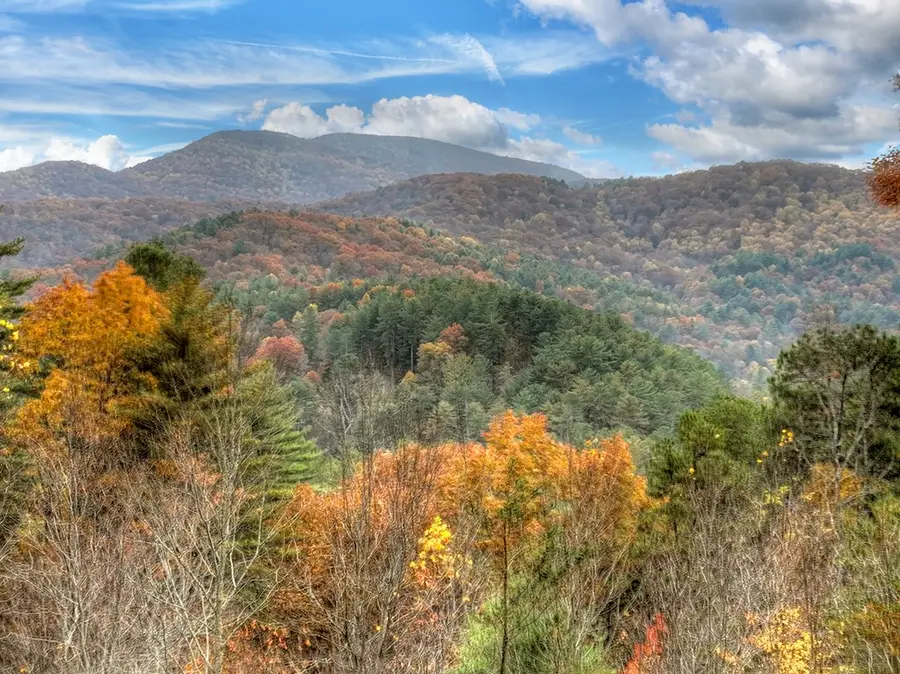 654 Stover Knob Trail, Cherry Log, GA 30522 - Image #2