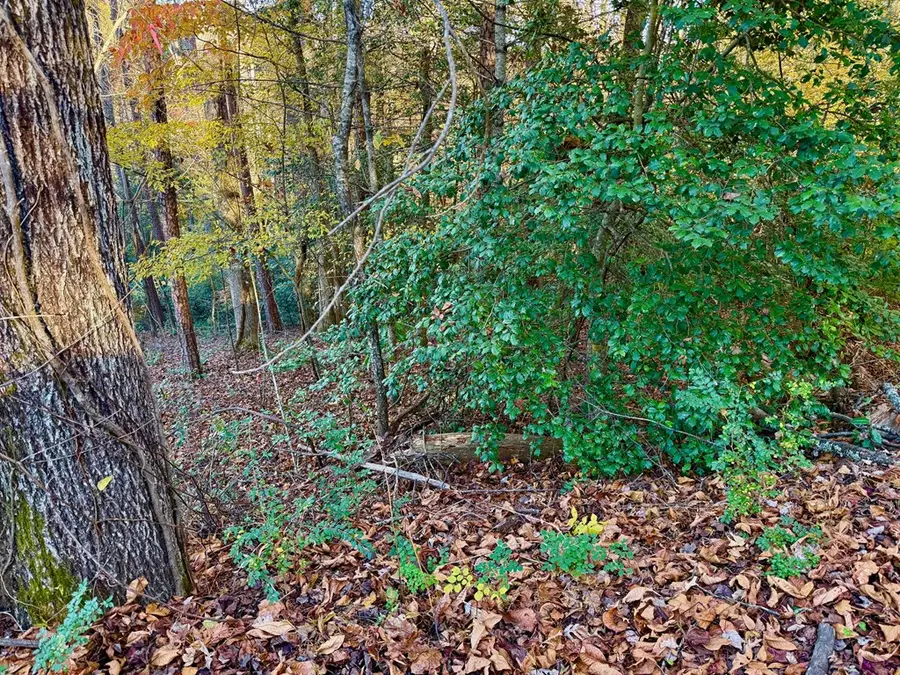 00 Newton Circle, Blairsville, GA 30512 - Image #2