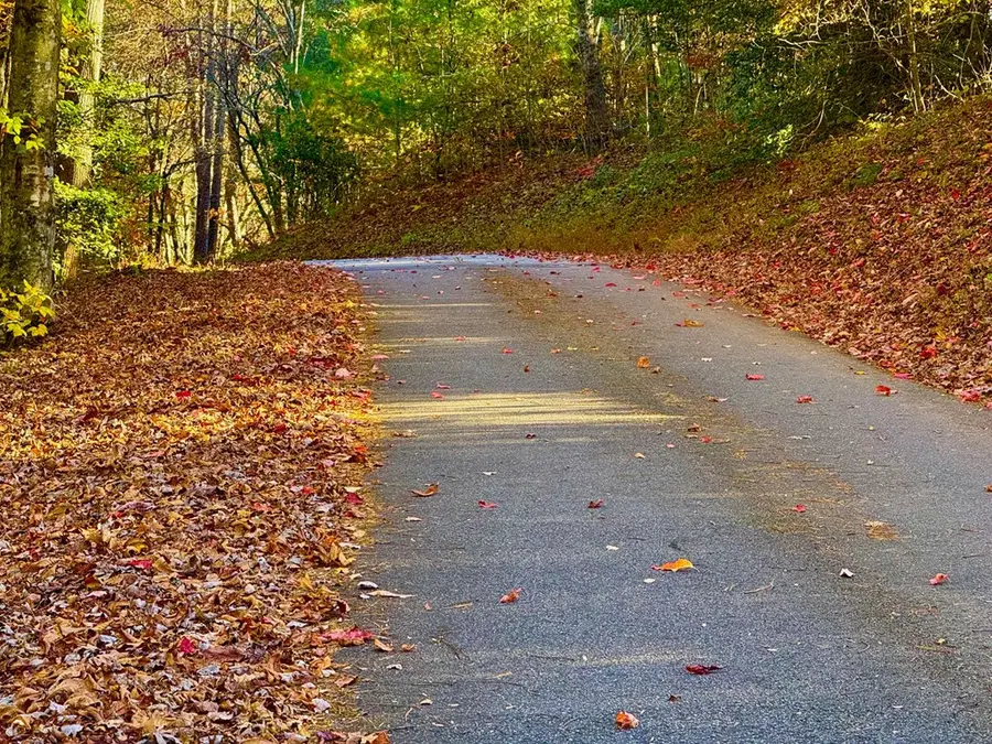 00 Newton Circle, Blairsville, GA 30512 - Image #3