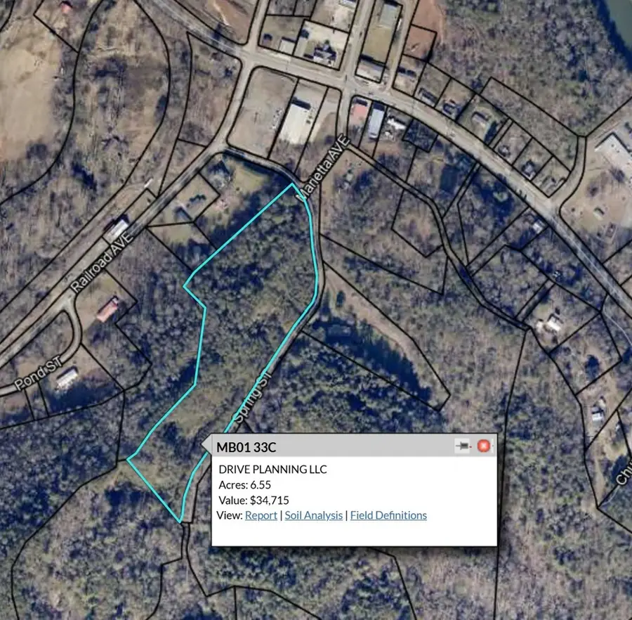 0000 Spring Street, Mineral Bluff, GA 30559 - Image #2