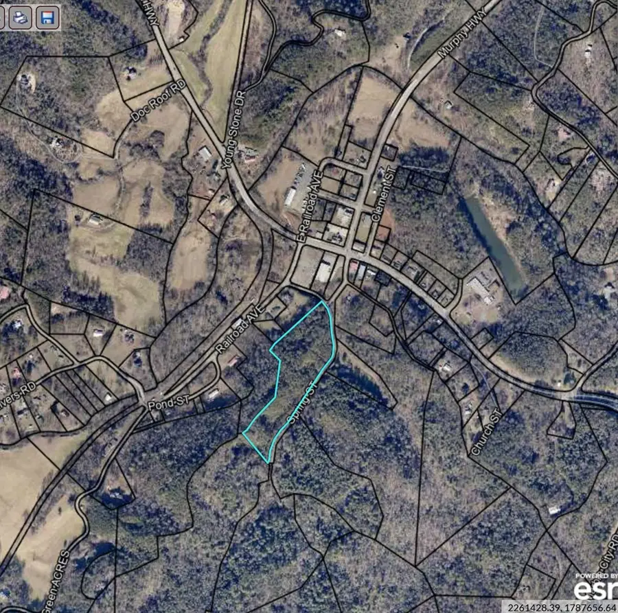 0000 Spring Street, Mineral Bluff, GA 30559 - Image #3