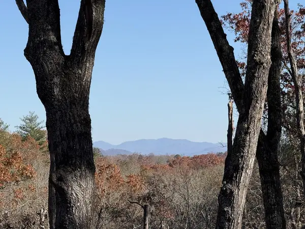 Lot 75 Morgan Road, Mineral Bluff, GA 30559