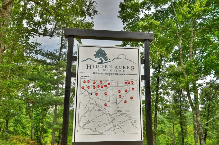 LOT 2 Hidden Acres, Blue Ridge, GA 30513 - Image #2