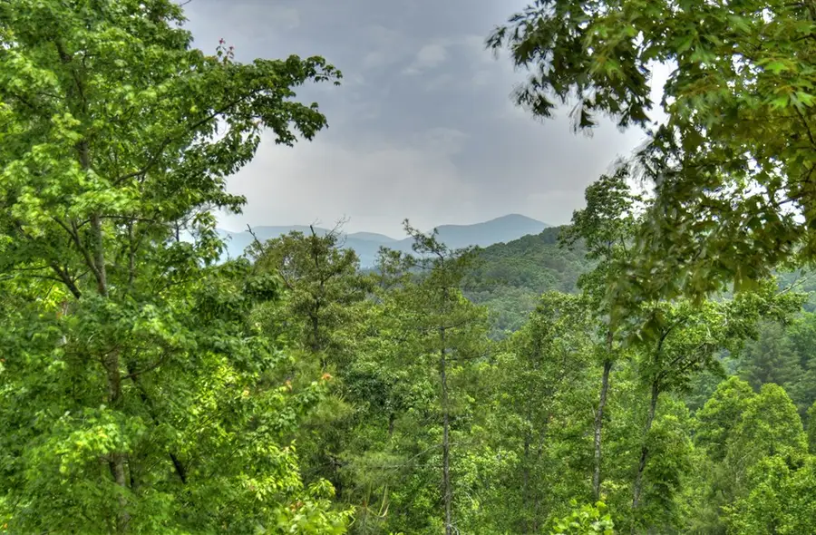 LOT 2 Hidden Acres, Blue Ridge, GA 30513 - Image #3